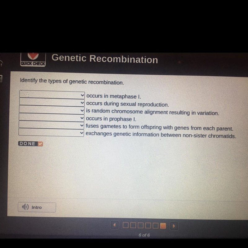 I help asap plz plz Identify the types of genetic recombination. occurs in metaphase-example-1