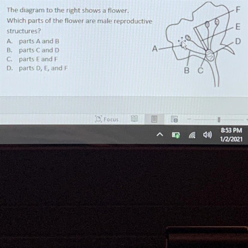 3. The diagram to the right shows a flower. Which parts of the flower are male reproductive-example-1