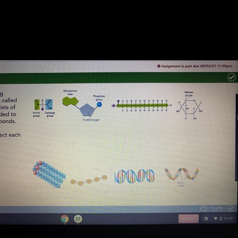 I need to connect each monomer to its polymer-example-1