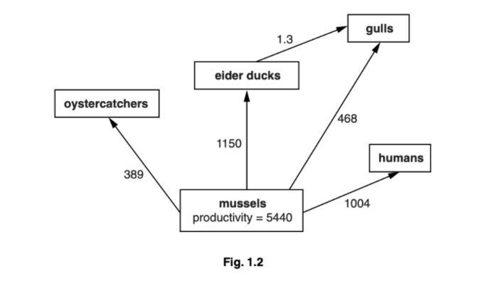 Suggest why the efficiency of energy transfer between the phytoplankton and fish is-example-1