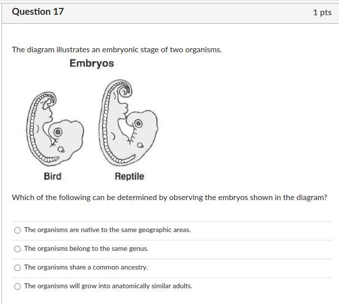 Does anyone know this?-example-1