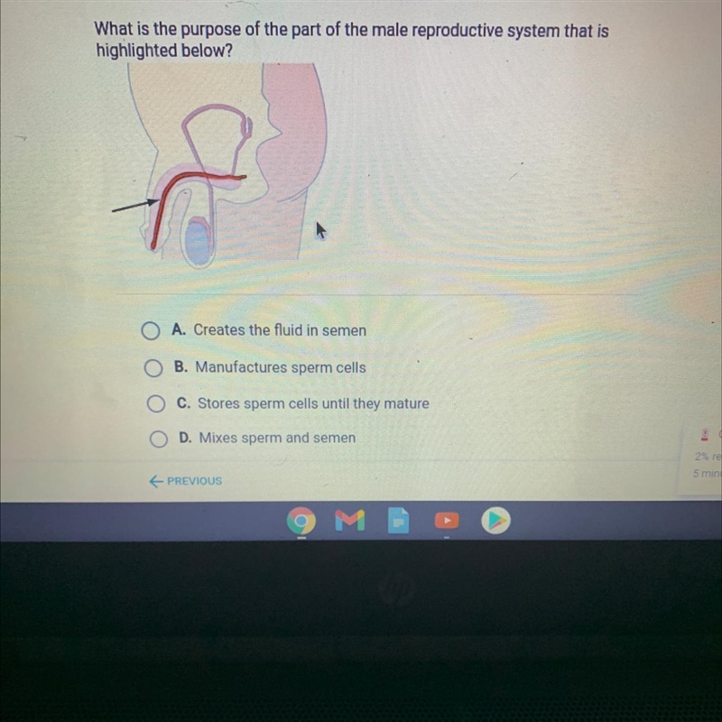 What is the purpose of the part of the male reproductive system that is highlighted-example-1