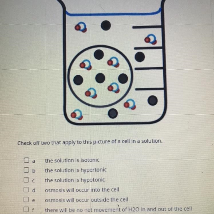 I don’t understand this so please help-example-1