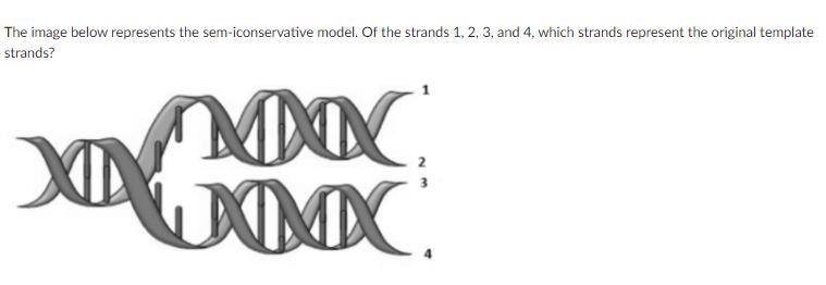 2 and 3 1 and 2 3 and 4 1 and 4-example-1