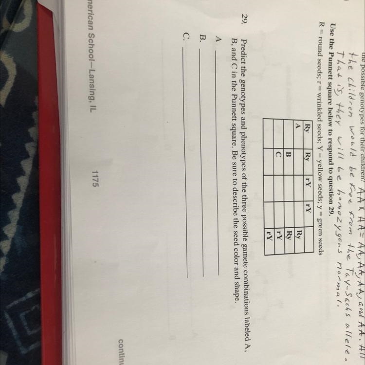 I need help ASAP please!!!-example-1