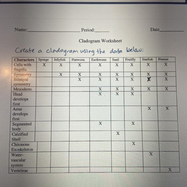 Use data to make cladogram chart-example-1