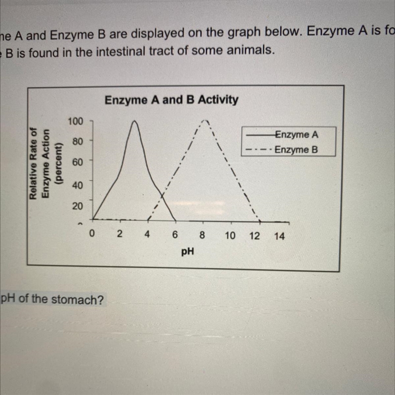 The activity for Enzyme A and Enzyme B are displayed on the graph below. Enzyme A-example-1