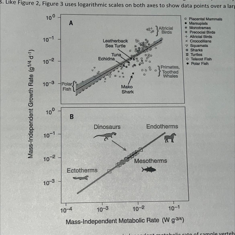 Which types of animals have the highest mass-independent metabolic rates? which have-example-1