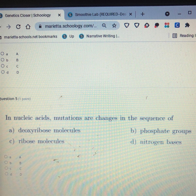 In nucleic acids, mutations are changes in the sequence of-example-1