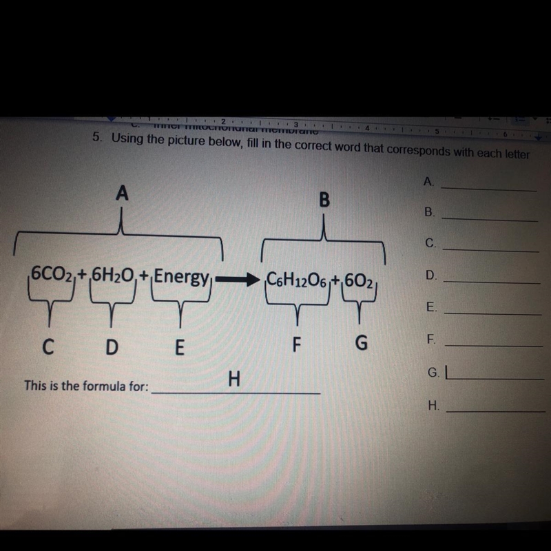 5. Using the picture below, fill in the correct word that corresponds with each letter-example-1