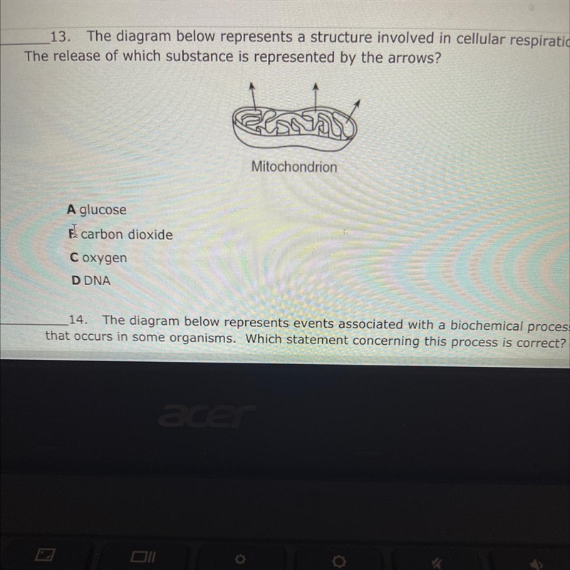 13. A glucose B carbon dioxide C oxygen D DNA-example-1