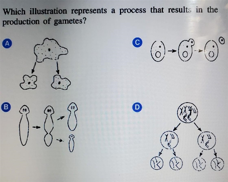 Please help! Thanks ​-example-1