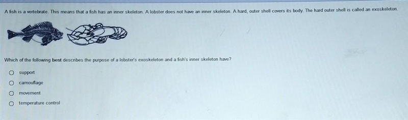 I don't understand. Can somebody help?​-example-1