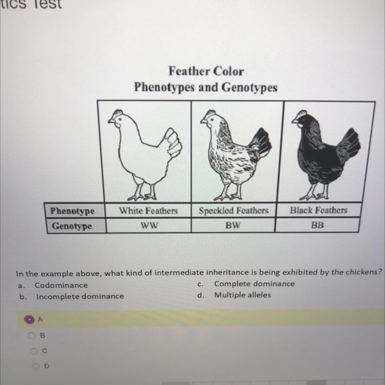 What kind of intermediate inheritance is being exhibited by the chickens???-example-1