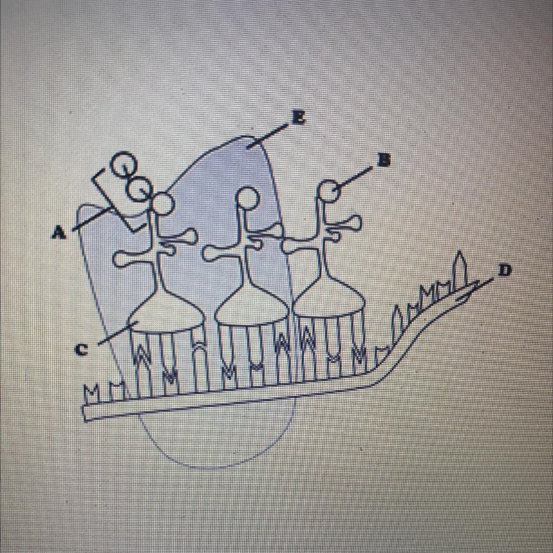 Identify structures C and D-example-1