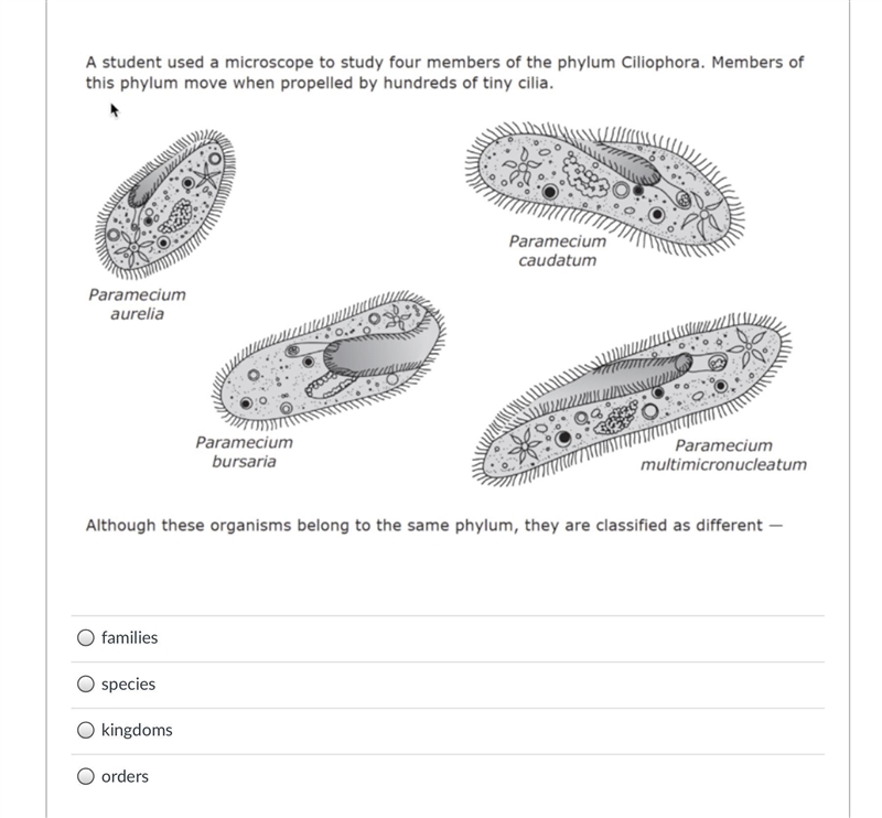 They are classified as different --example-1