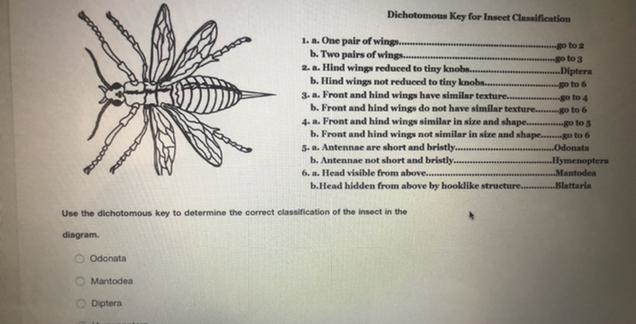 HELP!! This for science-example-1