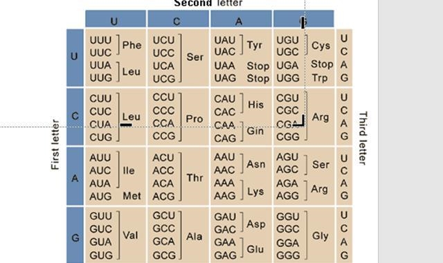 Translating the code below is a dna-example-1