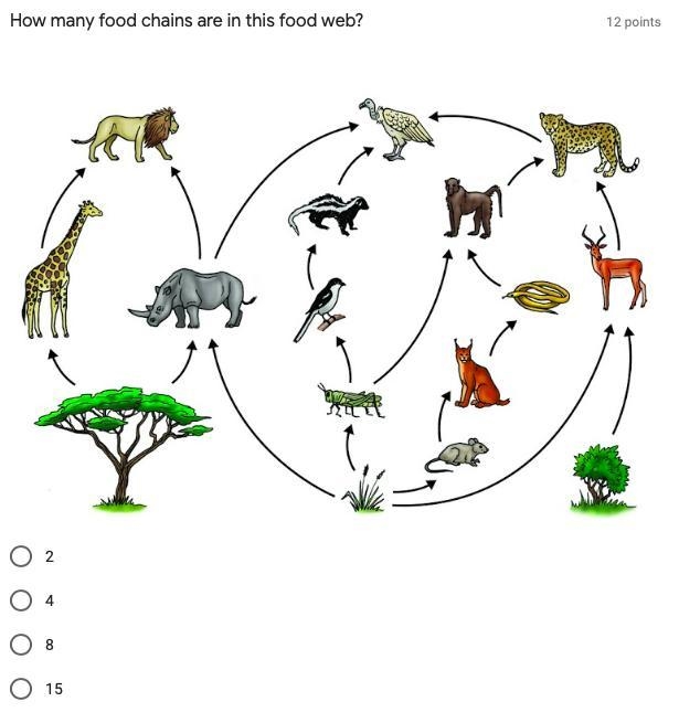 How many food chains are in this food web?-example-1