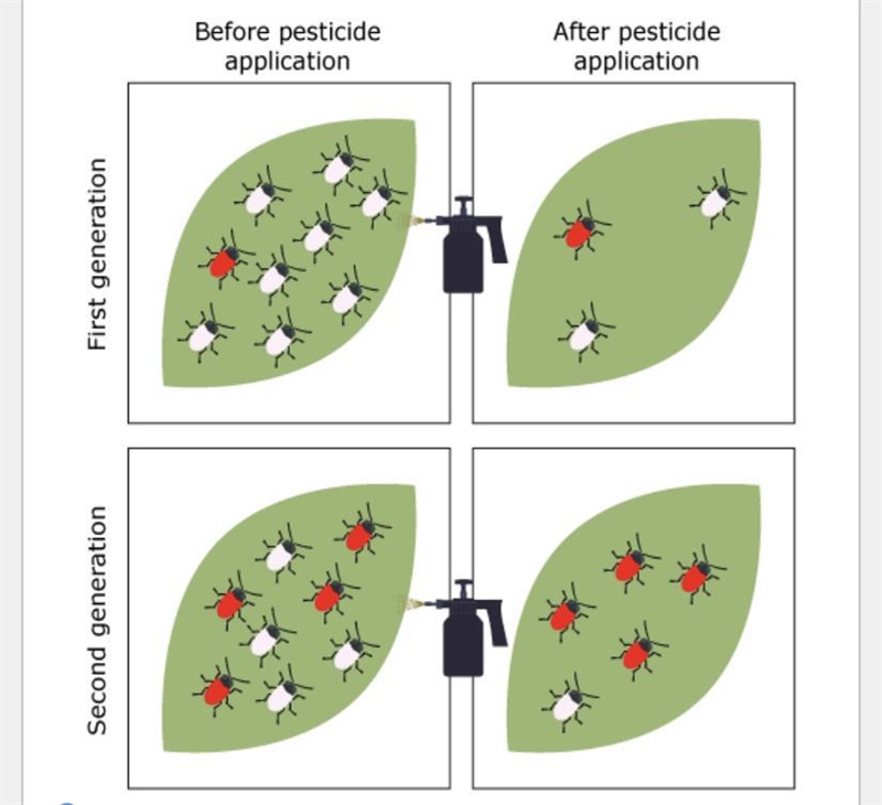 Biologic resistance to pesticides occurs when the insects’ DNA undergoes a mutation-example-1