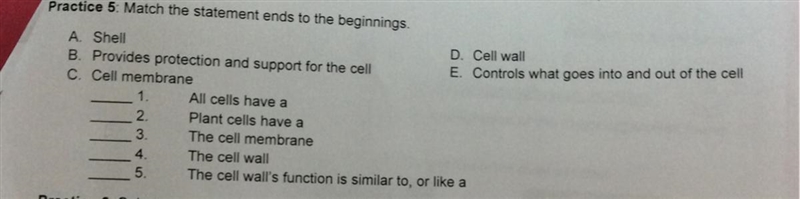 Practice 5: Match the statement ends to the beginnings A Shell D. Cell wall B. Provides-example-1