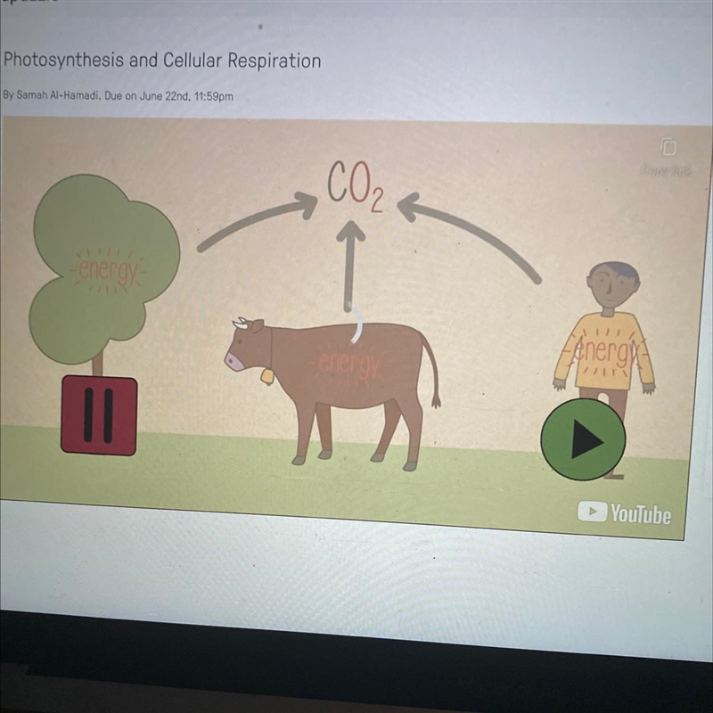 What is the name of this chemical process? A. cellular respiration B. photosynthesis-example-1