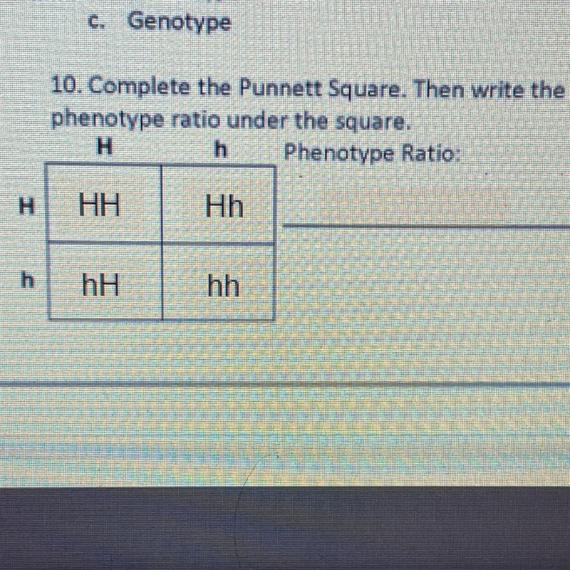 Help please !!! i don’t understand how to get the phenotype ratio-example-1