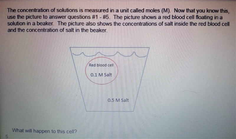 What will happen to the cell? A. it will shrink B. nothing C. it will explode​-example-1