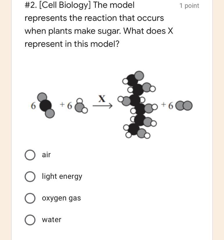 What does x represent in the model-example-1