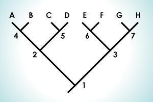 Based on this cladogram, which pair of organisms are likely to share the most similarities-example-1