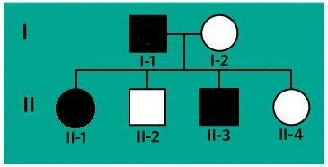 Fused digits (F) is a dominant trait. A pedigree for one family is shown on the right-example-1