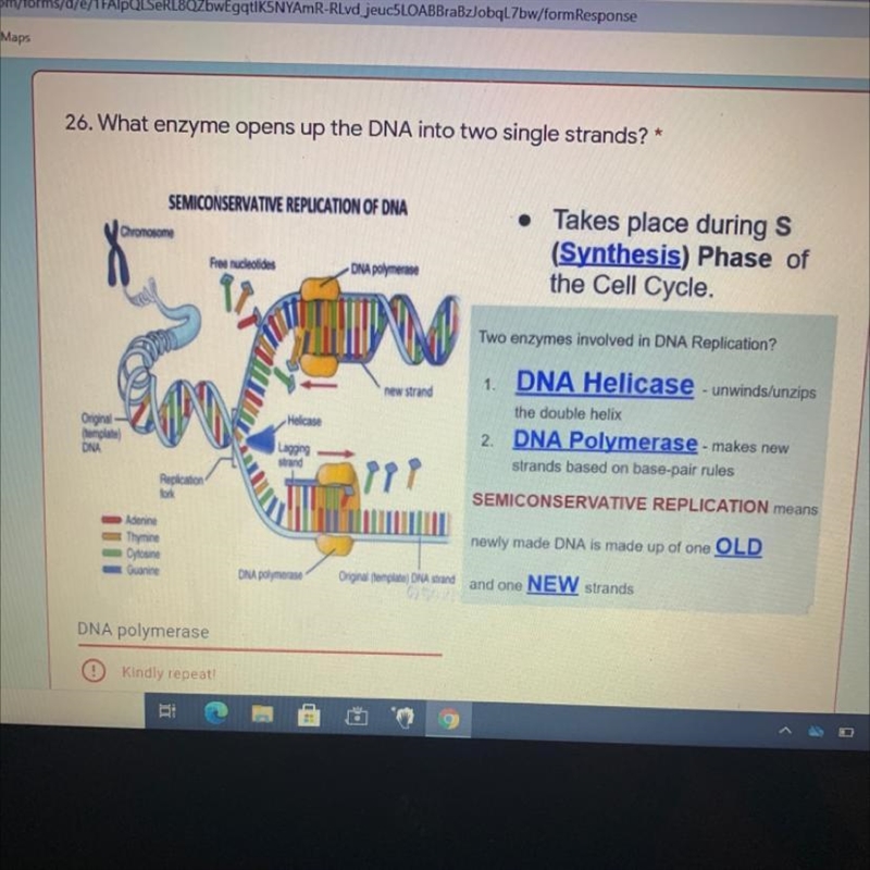 PLEASE HELP AM HAVING A MENTAL Breakdown!!! What enzyme opens up in the DNA into two-example-1