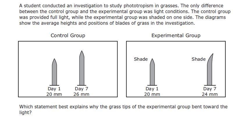 A: Water evaporated faster on the side of the plant having full light. B: The side-example-1