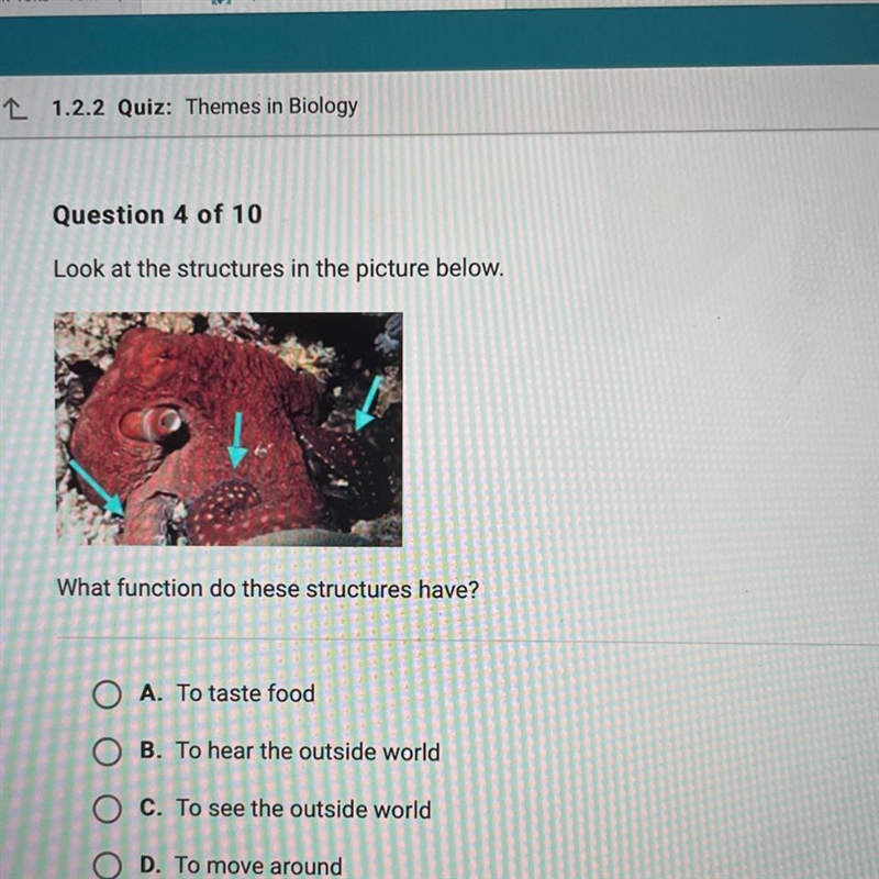 Look at the structures in the picture below. what function do these structures have-example-1