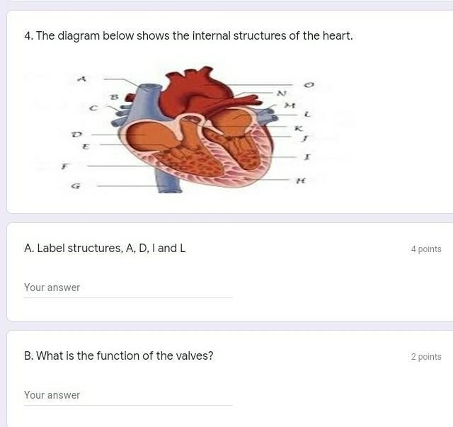 Label the heart I stg every heart diagram looks different how y'all be memorizing-example-1