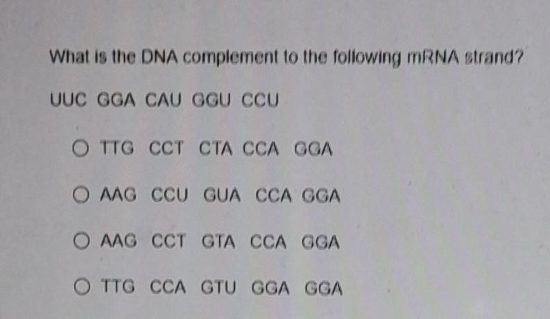 DNA vs RNA please help me! ​-example-1