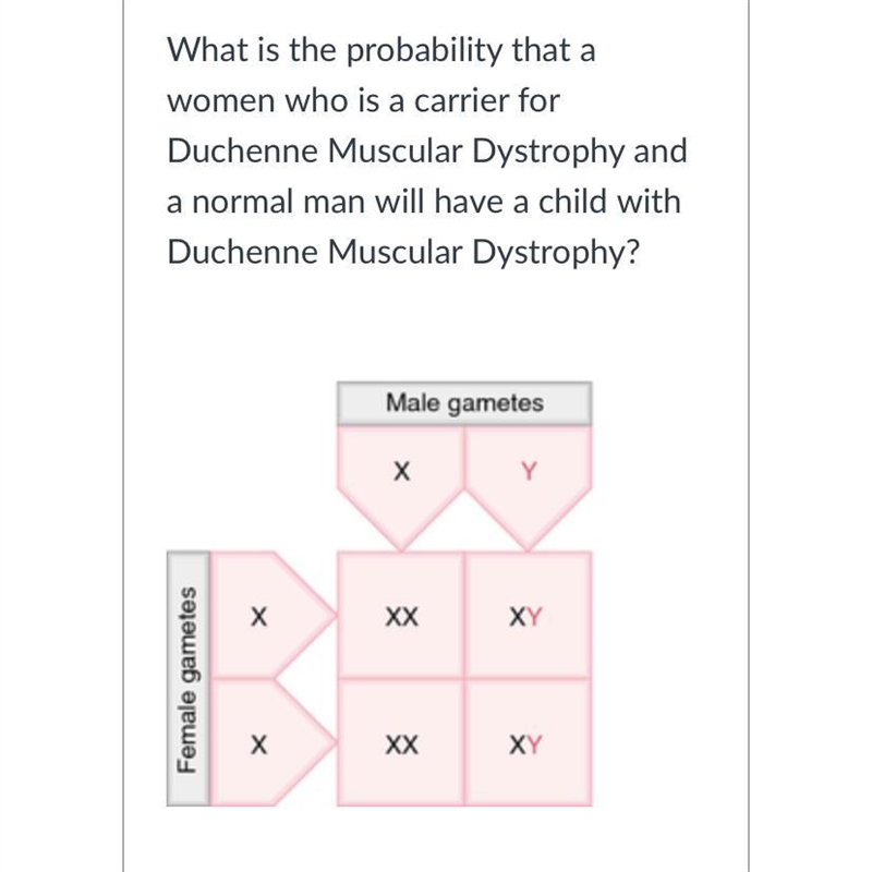 What is the probability?: -0 percent -100 percent -50 percent -25 percent Which one-example-1