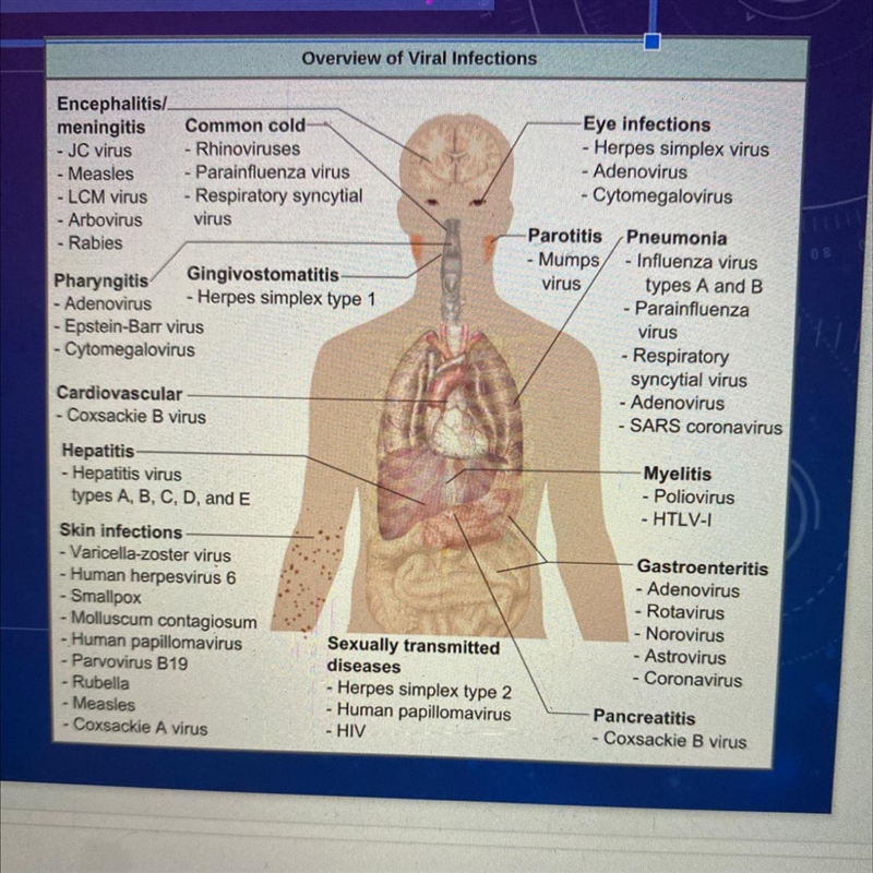 How does a virus make people sick? (What does the virus do the the host cell?)-example-1