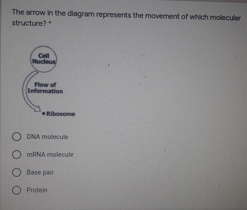 Easy question, easy points​-example-1