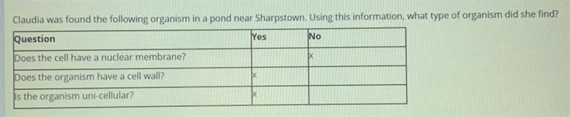 Please help. I thought the answer is prokaryotic but its not and there are no answer-example-1