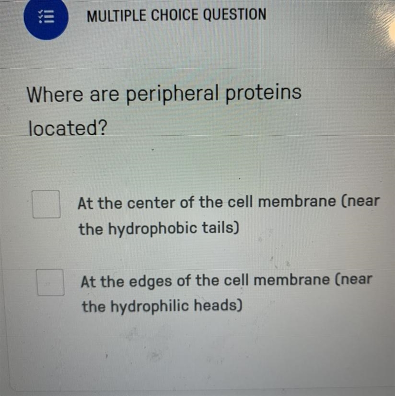 Where are peripheral proteins located-example-1