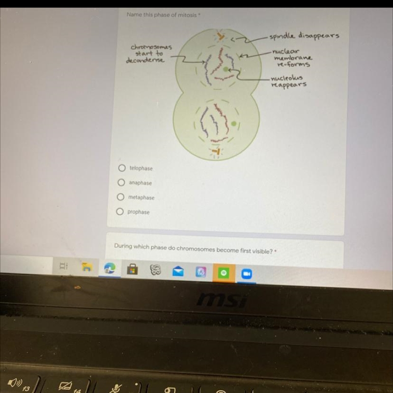 Name this phase of mitosis * •spindle disappears chromosomes start to decondense •nuclear-example-1