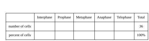 How many cells are in each phase and whats the percent of the cells-example-1