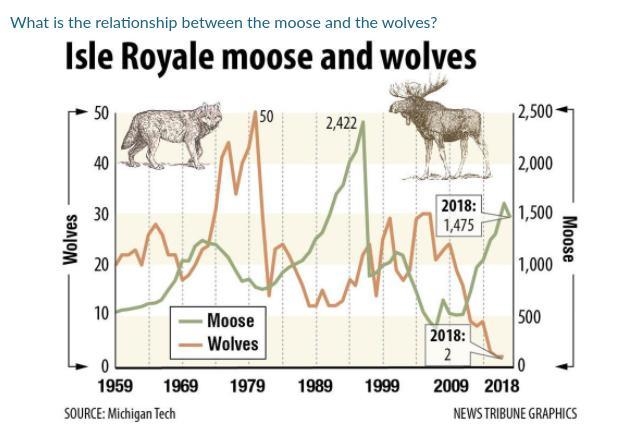 What is the relationship between the wolf and the moose? Help me please NOOOO LINKSSS-example-1