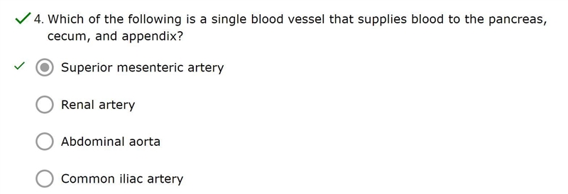 Which of the following is a single blood vessel that supplies blood to the pancreas-example-1