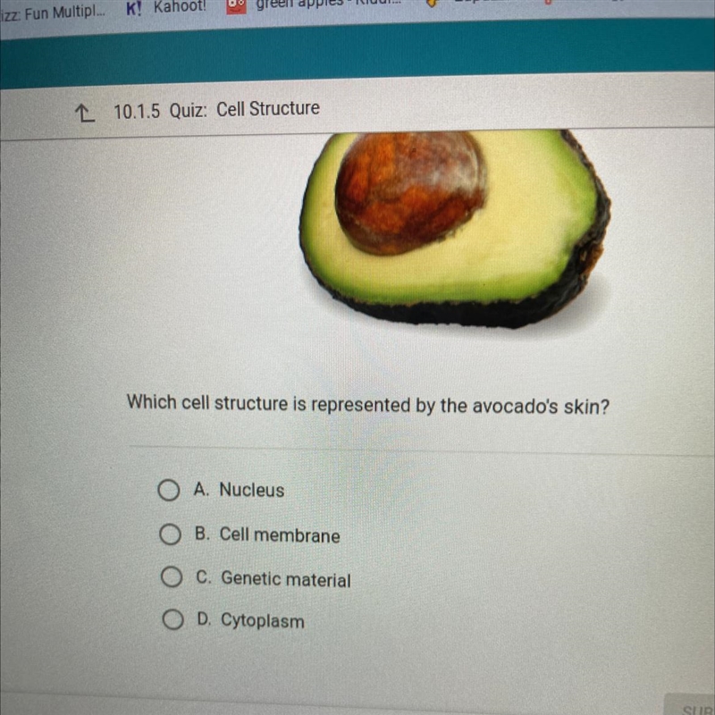 Which cell is represented by the avocado's skin-example-1