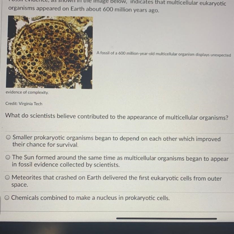 What do scientists believe contributed to the appearance of multicellular organisms-example-1