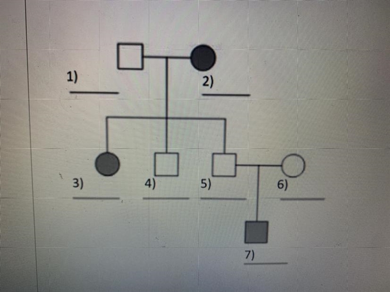 Fill in the genotypes for each individual in the pedigree below. Treat “H” as the-example-1