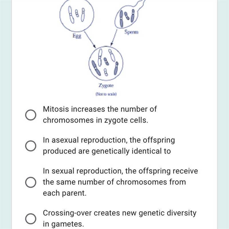 A biological process is represented in the diagram below. Which of the following concepts-example-1