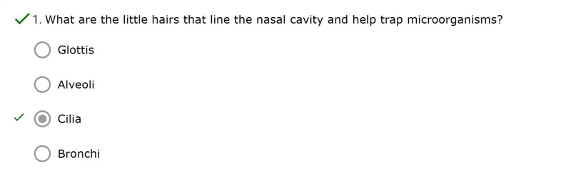 What are the little hairs that line the nasal cavity and help trap microorganisms-example-1